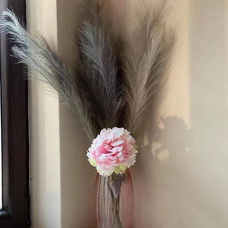 Boho Chic Nearby The